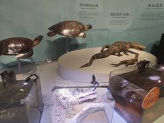 -中国湿地博物馆