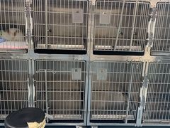 -美美宠物诊疗中心·异宠·骨科(滨江东信分院)