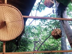 -抚仙湖生态石锅鱼野生菌(告庄店)