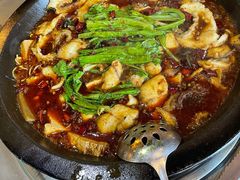 -都江堰石锅鱼
