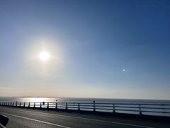 -东平国家森林公园