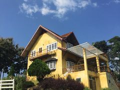 -黄色小屋