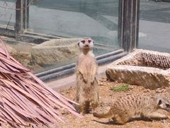 -大连森林动物园