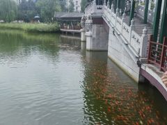 -西海子公园