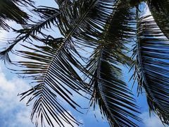 -三亚海棠湾万丽度假酒店