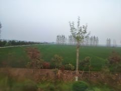 -嵖岈山风景区