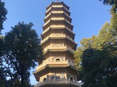-灵谷景区