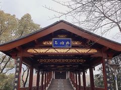 -长广溪湿地公园