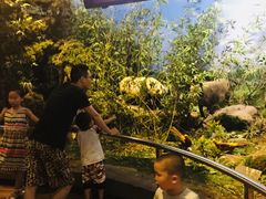 -陕西自然博物馆