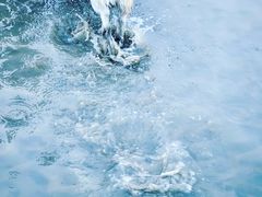 -南汇新城海滩
