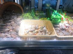 -钱小奴创意自助餐厅·原切谷饲安格斯畅吃(绍兴新昌万达店)