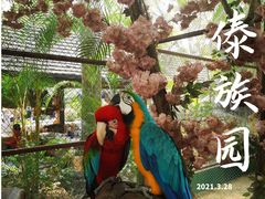-西双版纳傣族园