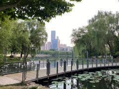-后襄河公园