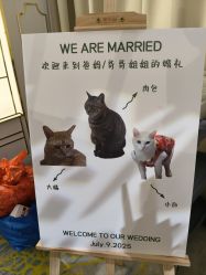 -希乐曼艺术中心·婚礼·活动·宴会厅(南山店)