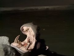 -清迈夜间动物园