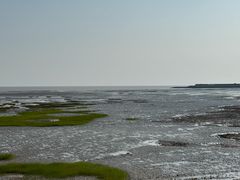 -碧海金沙