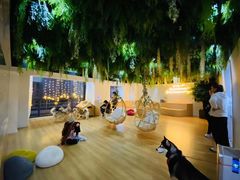 -Husky Go! 哈士奇体验馆·宠物咖啡厅狗咖