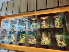 -菌彩云南野生菌火锅(万达广场店)