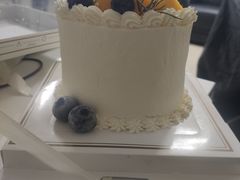 -今日·TODAY手作低脂动物奶油蛋糕定制(高新万达店)