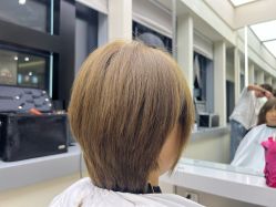 -GANO HAIR 