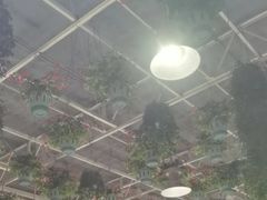-天宫南铂玫瑰园酒店
