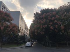 -河海大学(江宁校区)