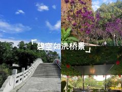 -金山植物公园