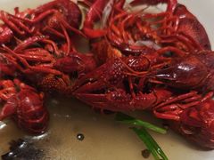 -杨氏青龙虾·羊蝎子(托乐嘉店)