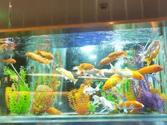 -稻香迎囍皇宫(港惠店)