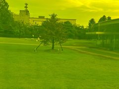 -金泽21世纪美术馆