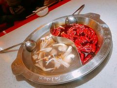 -DaLongYi Hotpot - 大龙燚火锅 - 地道四川老火锅