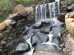 -大连天门山国家森林公园