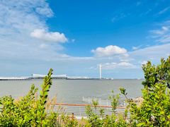 -上海吴淞炮台湾国家湿地公园