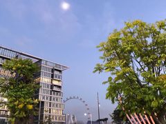 -宝安西湾红树林湿地公园