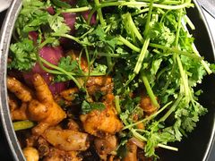 -巴辣仔烤鱼鸡煲(上水店)