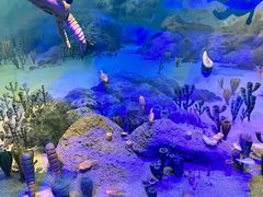 -浙江自然博物院(杭州馆)