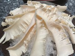 鲜黄喉-王家渡火锅店(棕榈泉店)