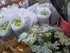 -循礼门鲜花花市(武汉循礼门店)