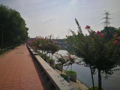 -滨河世纪广场公园