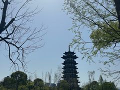 -洋湖国家湿地公园