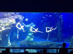 -多彩贵州城极地海洋世界