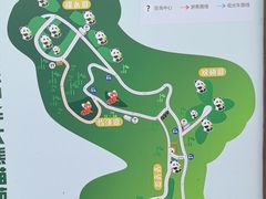 -都江堰中华大熊猫苑