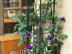 -留香花园(淮海街商业街店)