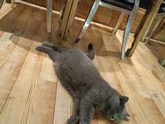 -么么咖啡(燕郊店)