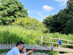 -成都市活水公园