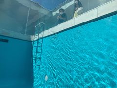 -金泽21世纪美术馆