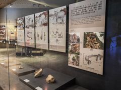 -北京周口店北京人遗址博物馆
