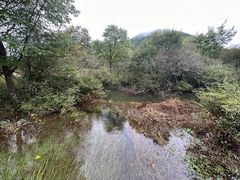 -大九湖