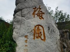 -梅园