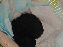 -艾贝尔宠物医院 ·中兽医·宠保定点(北门桥店)